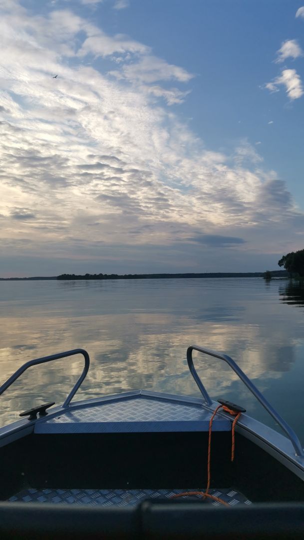 Волжанка 46 fish